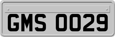 GMS0029