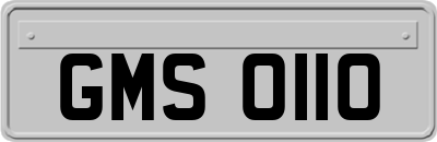 GMS0110