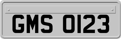 GMS0123
