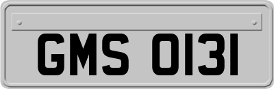 GMS0131