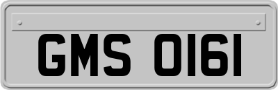GMS0161