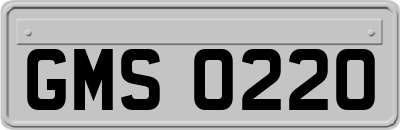 GMS0220