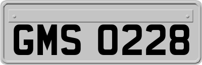 GMS0228