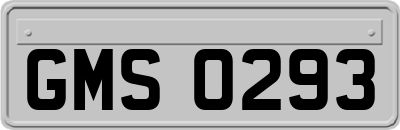 GMS0293