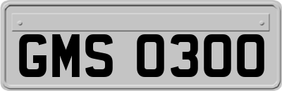 GMS0300