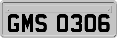 GMS0306