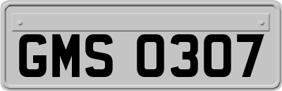 GMS0307
