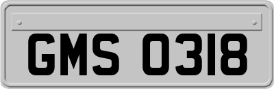 GMS0318