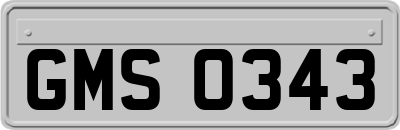 GMS0343