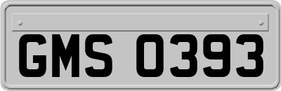 GMS0393