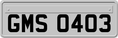 GMS0403