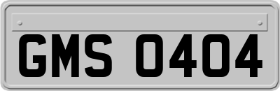 GMS0404