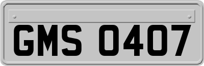 GMS0407
