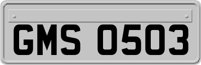 GMS0503