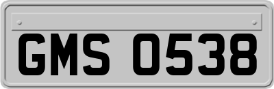 GMS0538