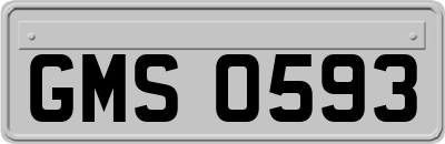 GMS0593