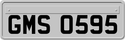GMS0595