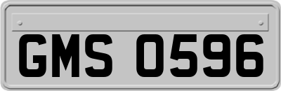 GMS0596