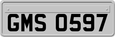 GMS0597