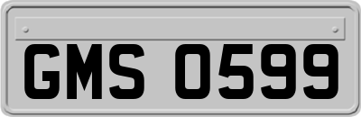 GMS0599
