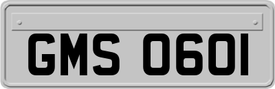 GMS0601