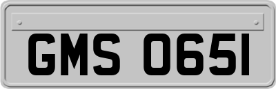 GMS0651