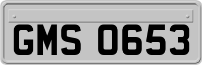 GMS0653
