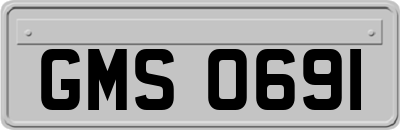 GMS0691