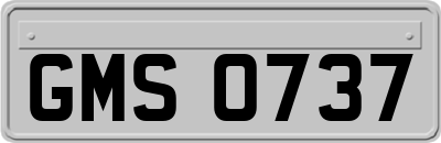 GMS0737