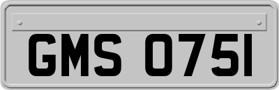 GMS0751