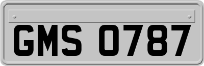 GMS0787