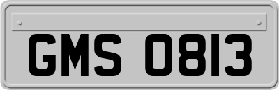 GMS0813