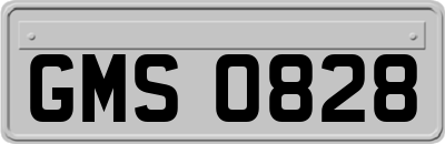 GMS0828