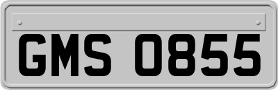 GMS0855