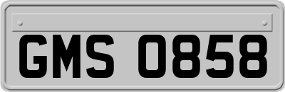 GMS0858
