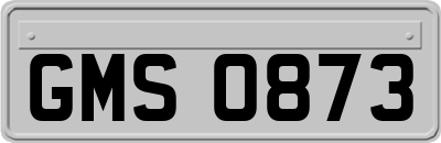 GMS0873