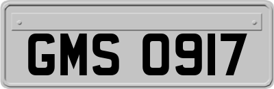 GMS0917