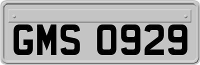 GMS0929