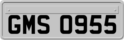 GMS0955