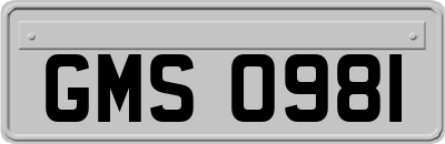 GMS0981