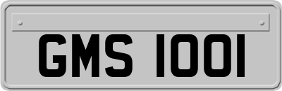 GMS1001
