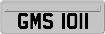 GMS1011