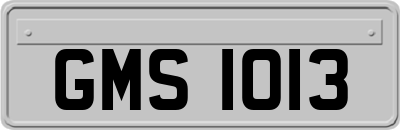 GMS1013