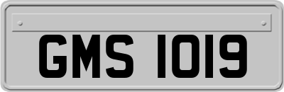 GMS1019