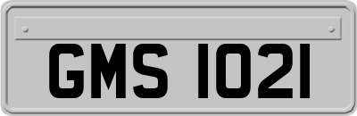 GMS1021