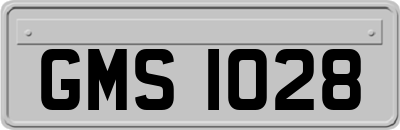 GMS1028