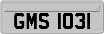 GMS1031
