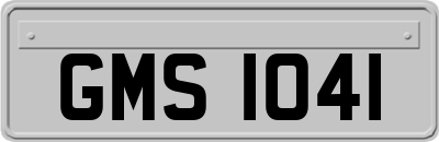 GMS1041