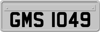 GMS1049
