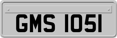 GMS1051